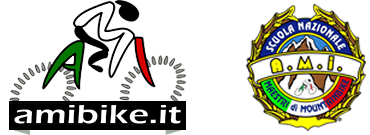 AMIBIKE